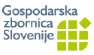 Chamber of Commerce & Industry of Slovenia (INFOLINK).png