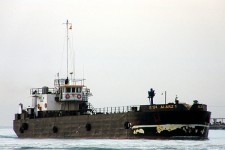 7945247.jpg