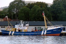 7129647.jpg