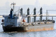 9197076.jpg