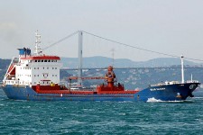 9005857.jpg