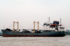7819979.jpg