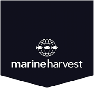 Marine Harvest ASA.png
