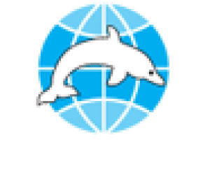 Marflex Europe.png