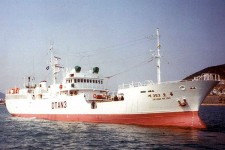 8703440.jpg