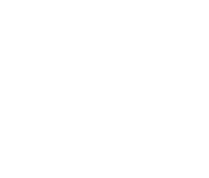 Baltic Shipping Services.png