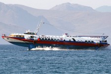 8136295.jpg