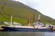 8921949.jpg