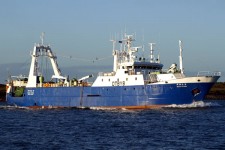 8801175.jpg