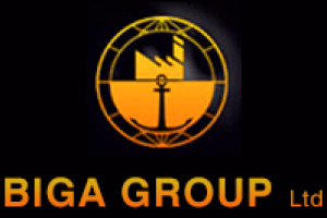 BIGA Group Ltd.png