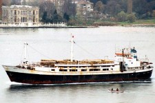 6421581.jpg