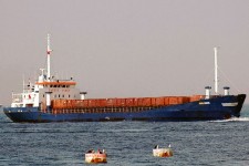 7321441.jpg