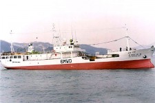 8811120.jpg