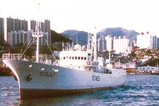 8403765.jpg