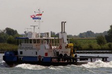 9474400.jpg