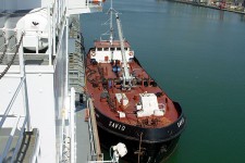 8900440.jpg