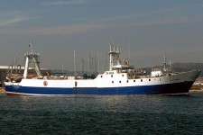 7336460.jpg
