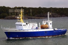 7805136.jpg