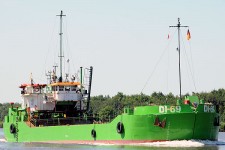 7817177.jpg