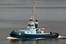 8414817.jpg