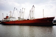 8503723.jpg