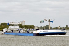 9562221.jpg