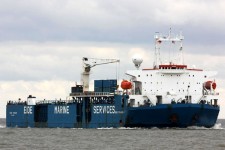 7734167.jpg