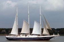 8814275.jpg