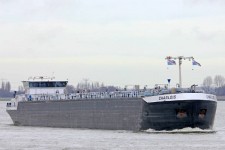 9598062.jpg