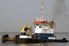 9423425.jpg