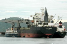 8316704.jpg