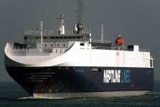 9240976.jpg