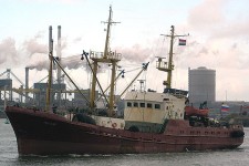 7741108.jpg