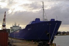 7802079.jpg