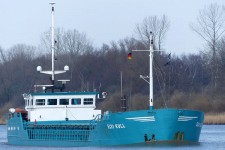 7819864.jpg