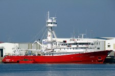 8906456.jpg