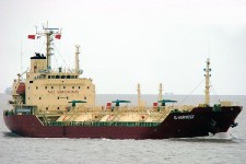 9156797.jpg