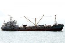 8876118.jpg