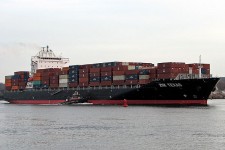 9471238.jpg