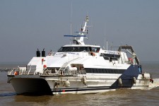 8916853.jpg