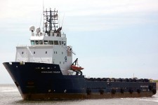9136242.jpg