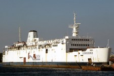 8506555.jpg