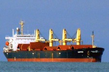 8906834.jpg