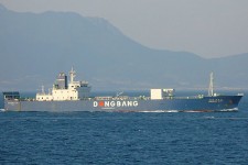9159969.jpg